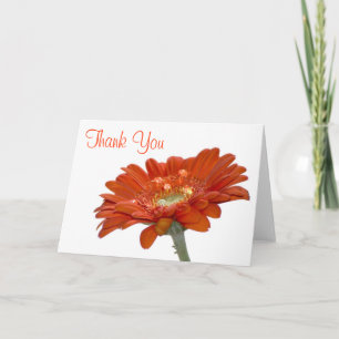 Boda Gracias Tarjeta - Naranja Daisy Gerbera