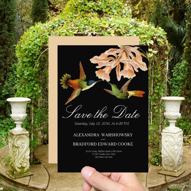Boda Hummingbird Rubor Lirio Rosa Negro (Subido por el creador)