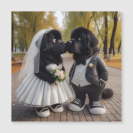 Boda newfs