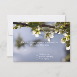 Boda RSVP en floración de cerezo blanco
