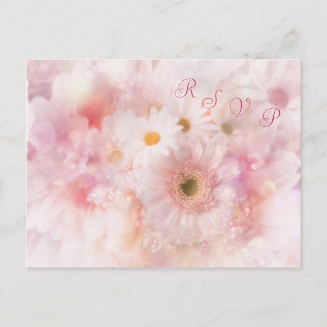 Boda. RSVP. Postales de Daisies y Gerbera (Anverso)