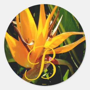 Boda tropical Pájaro del paraíso Monograma B Sello