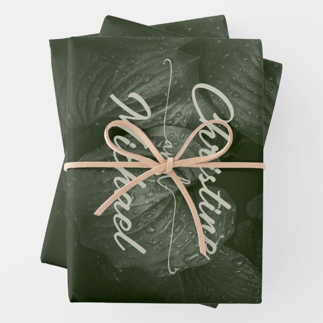 Boda verde elegante de primavera de la hoja verde (In situ)