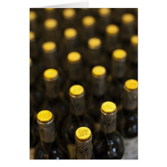 Bodega Marques de Riscal, botellas de vino (Frente)