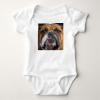 Cojín decorativo de Bulldog inglés