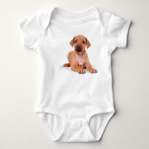 Body Para Bebé Enredadera del bebé de Rhodesian Ridgeback