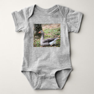 Body Para Bebé Fluctuación