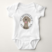 Hermano Weimaraner