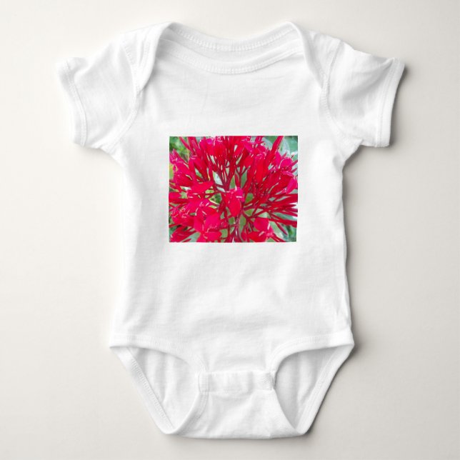 Body Para Bebé Hermoso Awesome Red Flores Infantiles Creeper (Anverso)