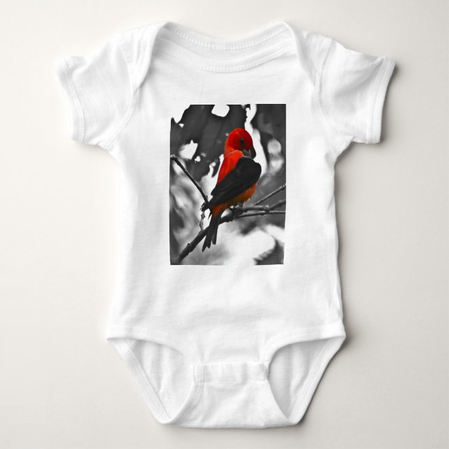 Body Para Bebé Male Scarlet Tanager (Anverso)