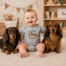 Mis hermanos son Wiener Dachshunds de pelo largo