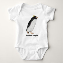 Palaeeudyptes Extinct Penguin