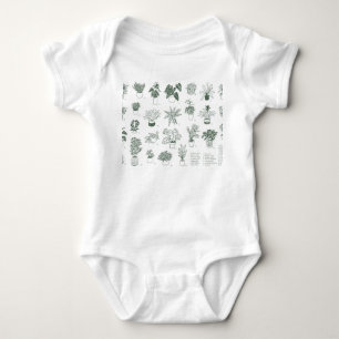 Body Para Bebé Plantas interiores: conjunto pintado a mano.