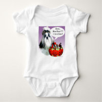 Shih Tzu (groomed) Candy de Halloween