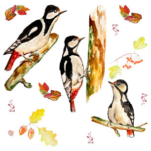 Body Para Bebé Watercolor pattern with birds woodpecker