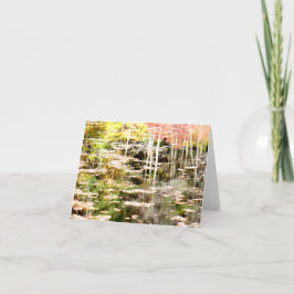 Bog lateral en Walden Pond