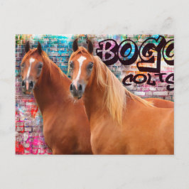 BOGO Colts - Tarjeta postal de graffiti - Caballos