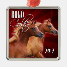BOGO estalló el ornamento 2017