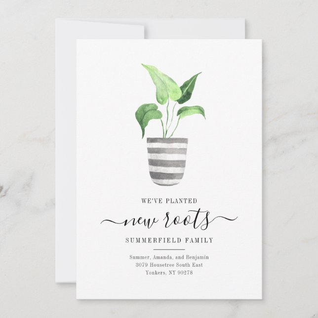 Boho Moda Nuevas raíces Hemos movido botánicamente (Anverso)