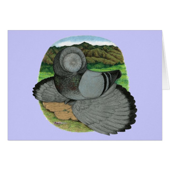 Bokhara Trumpeter Pigeon Blue (Anverso (Horizontal))