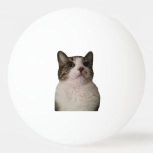 Bola auténtica del gato