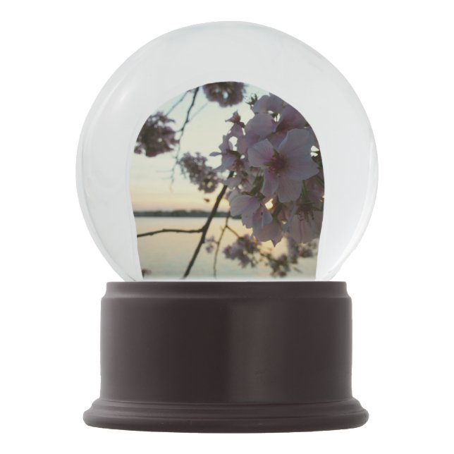 Bola De Cristal Con Nieve Atardecer en flor de cerezo en Washington DC (Anverso)