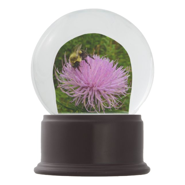 Bola De Cristal Con Nieve Bee on Thistle Flower (Anverso)