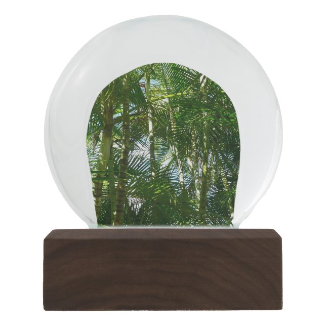Bola De Cristal Con Nieve Bosque de palmeras Naturaleza tropical (Anverso)