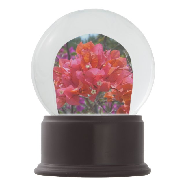 Bola De Cristal Con Nieve Bougainvillea rosa tropical (Reverso)