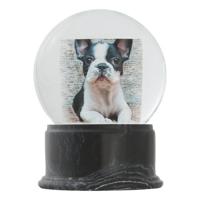 Bola De Cristal Con Nieve Bulldog francés (Reverso)
