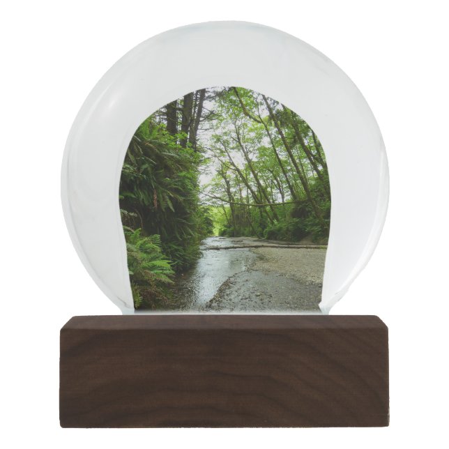 Bola De Cristal Con Nieve Cañón Fern II en el Parque Nacional Redwood (Anverso)