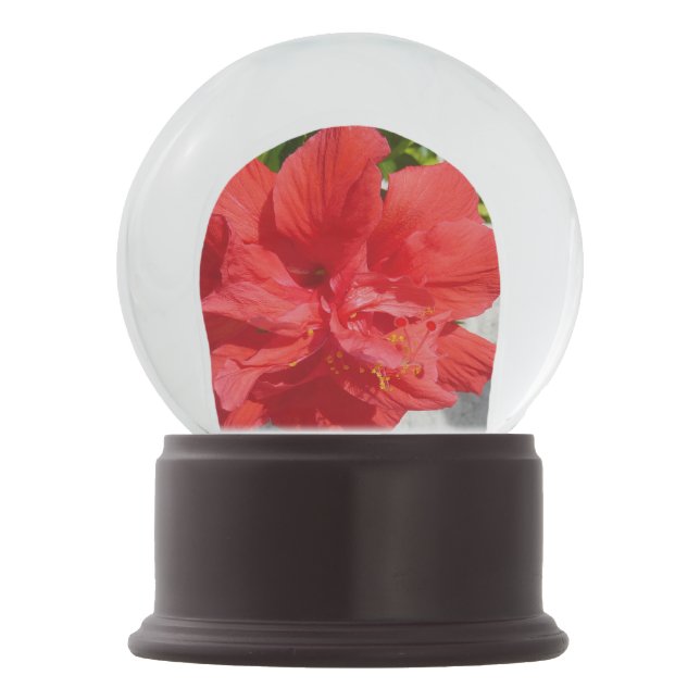 Bola De Cristal Con Nieve Flor doble roja hibiscus (Reverso)