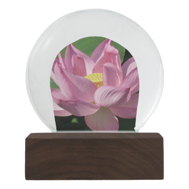 Bola De Cristal Con Nieve Flor rosa Lotus IV (Anverso)