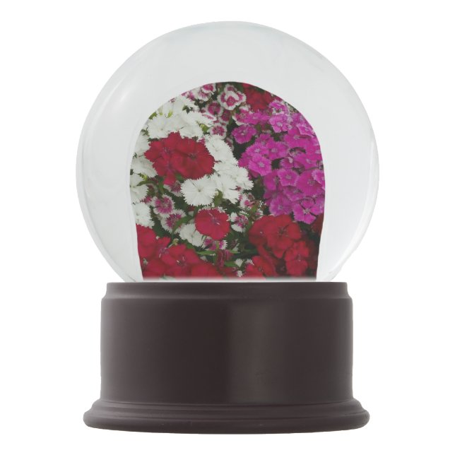 Bola De Cristal Con Nieve Floral blanca, rosa y roja de Dianthus (Anverso)