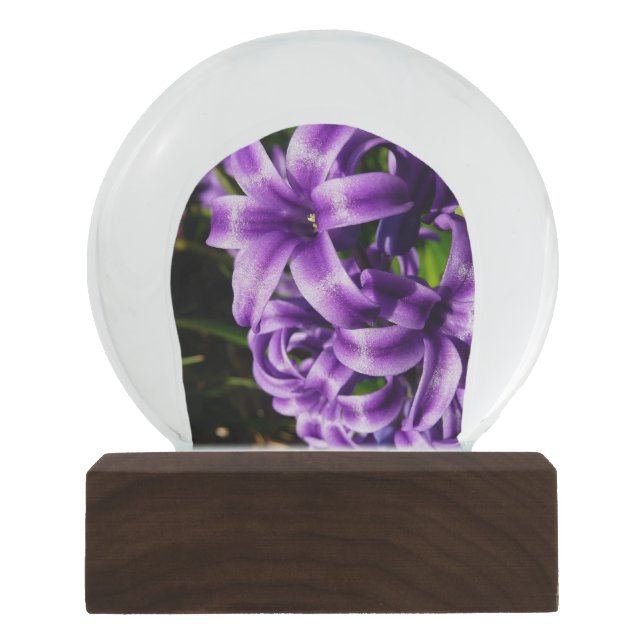 Bola De Cristal Con Nieve Floral de primavera azul Hyacinin II (Anverso)