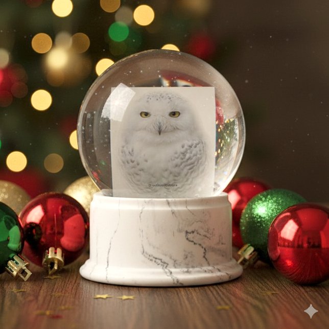 Bola De Cristal Con Nieve Hermosa, soñadora y serena lechuza (Snowy Owl Glass Snow Globe Cover Photo)