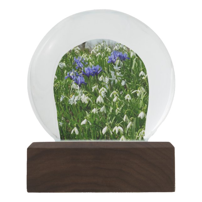 Bola De Cristal Con Nieve Hillside of Early Spring Flowers Landscape (Anverso)