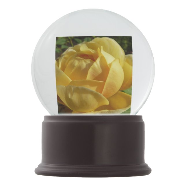 Bola De Cristal Con Nieve Rosa inglés amarillo (Anverso)