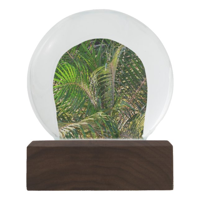 Bola De Cristal Con Nieve Sunset Lit Palm Fronds Tropical (Anverso)
