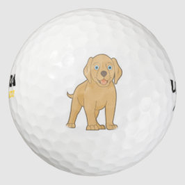 bola de golf de labrador amarillo lindo