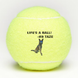 Bola de K9 Taze