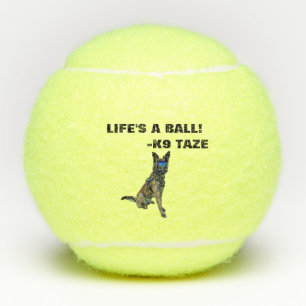 Bola de K9 Taze