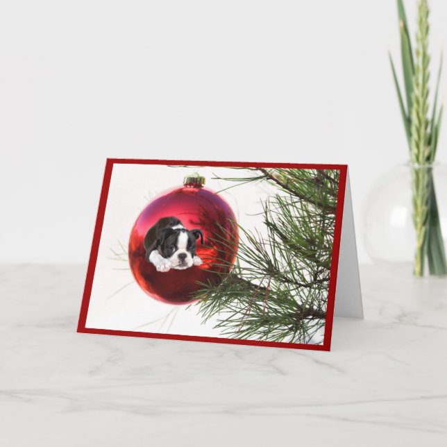 Bola de la tarjeta de Navidad de Boston Terrier (Anverso)