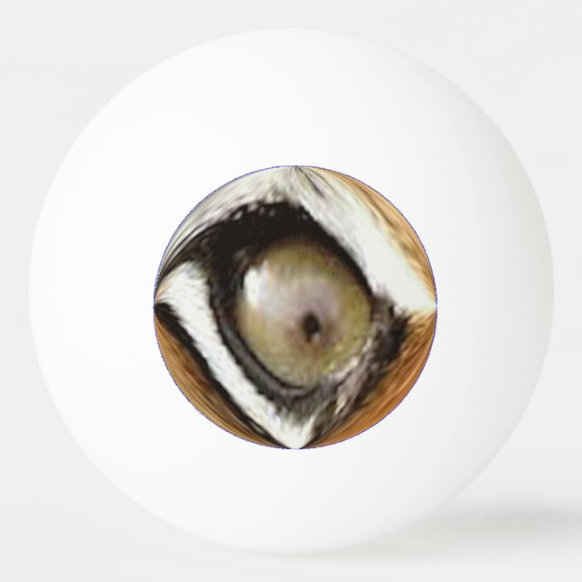 Bola de ping-pong - el ojo del tigre (Reverso)