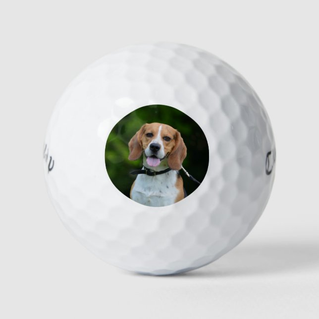 Bolas de golf de perros fotográficas personalizada (Anverso)