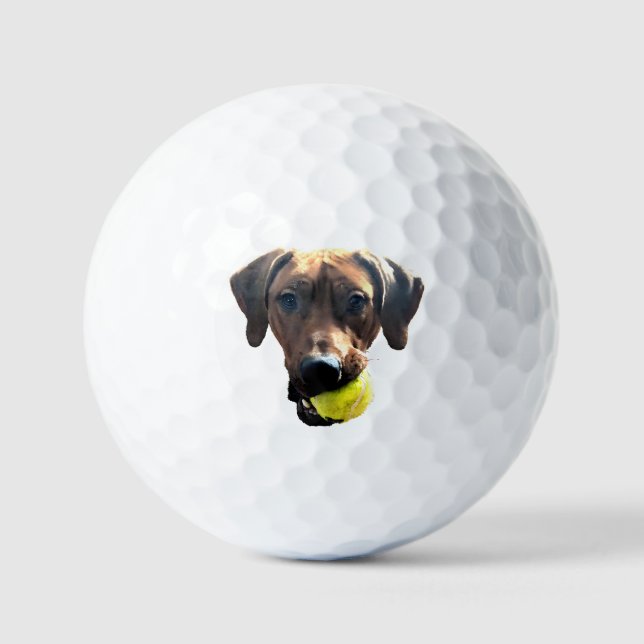 Bolas de golf Ridgeback (Anverso)