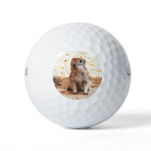 Bolas de golf Wilson Ultra "Peanut" Ground Squirre