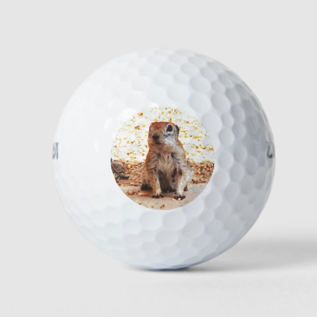 Bolas de golf Wilson Ultra "Peanut" Ground Squirre (Anverso)