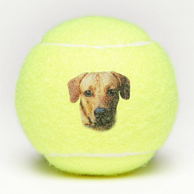 Bolas de tenis de perro personalizadas para person (Anverso)