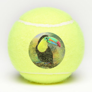 Bolas de tenis de Toco Toucan